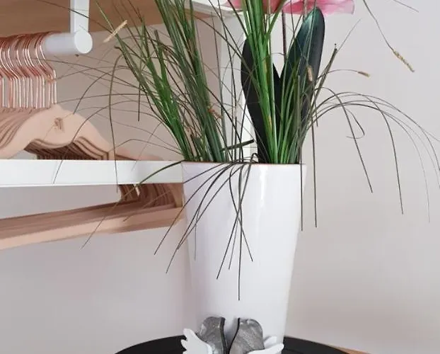 La Casa De Maria בית אירוח סן סבסטיאן