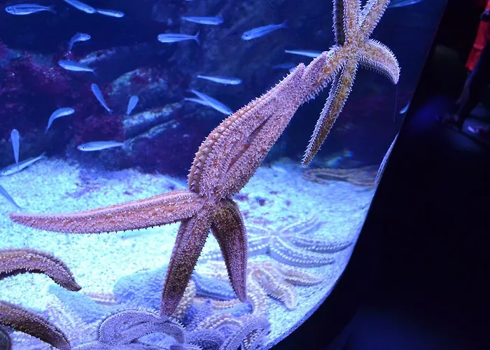 Pansiyon La Casa De Maria *