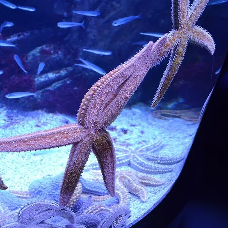 Homestay szállás La Casa De Maria *